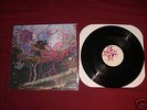 Animal Collective - Here Comes the Indian LP /1000 WAT