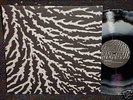 GROUPER Cover The Windows And Walls RARE COLOR VINYL LP