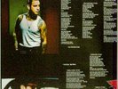 Mike Ness Cheating At Solitaire 2 LP Social Distortion