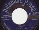 CHEER UP - THE MAYTALS - SUPER RARE SKA - LISTEN