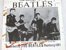 The SAVAGE YOUNG BEATLES   RARE 10