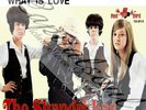 60S BEAT THE SHANGRI-LAS THE LEADER OF THE PACK PIC/SLE