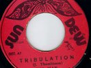 BIM SHERMAN as BIM MAN - TRIBULATION on SUN DEW  label