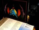 RARE Orig  NETHERWORLD   Private CALIF Psych PROG Space