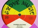 RAS IBUNA & JAH WOOSH Diverse Doctrine RARE HEAR IT
