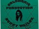 BUNNY WAILER Rise And Shine RARE roots dub 45 p/s HEAR