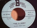 Rare Rockabilly / Don Ellis - Come In World / Bee Label