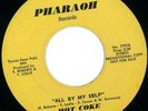 Hot Coke : RARE 70's Soul / Funk 45 on Pharaoh