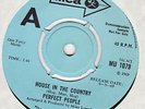 PERFECT PEOPLE Polyanna 1969 RARE UK RUBBLE PSYCH HEAR