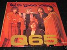 Q65 We're gonna make it LP Garage punk Psych orgnl LSTN