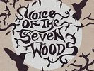 Voice of the Seven Woods rare debut 7 psych folk
