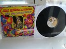 jimi hendrix experience are you experienced - vinyl