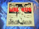 WALRUS - SAME / DERAM
