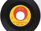 SUPER RARE NORTHERN SOUL 45-Jessie James on Shirley 119