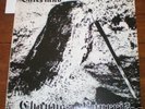 Chauves Pourris Vaterland LP Skinhead Oi RAC French RAR