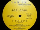 Joe Cool - 3 Fly Guys 12