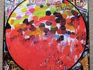 Yeah Yeah Yeahs : Fever To Tell (Picture Disc) Import
