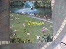 Doo-wop LP  The Flamingos