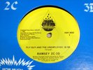 RAMSEY 2C-3D Fly Guy The Unemployed Electro Boogie 12