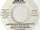 SHIRLEY & SHIRELLES NEVER GIVE YOU UP NORTHERN SOUL ear