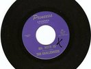 SURF INSTR ROCKER- CHALLENGERS- MR. MOTO 65- N. MINT