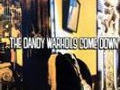 The Dandy Warhols-- Come Down, 2X LP Clear Vinyl