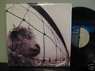 Rare Rock PEARL JAM vs. LP NEAR MINT out of print