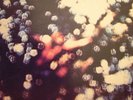PINK FLOYD Obscured By Clouds LP Syd Barrett psych NM+