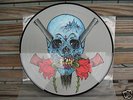 METALLICA  EVIL NEVER DIES PICTURE DISC