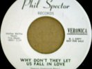 VERONICA SPECTOR Why Don't They Let US Fall dj 7