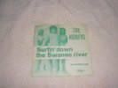 HONEYS SURFIN DOWN THE SWANEE RIVER