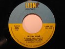 70's Sweet Soul 45 ANSWERS TO LOVE Try My...LION HEAR