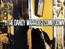 THE DANDY WARHOLS COME DOWN LP