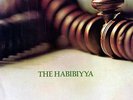 HABIBIYYA if man but knew HELP 7, ex MIGHTY BABY, LP