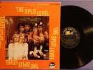 THE SPLIT LEVEL LP DOT 25836 M- 1968 POP FLOWER PSYCH