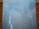 Wolves In The Throne Room - Diadem of 12 Stars 2LP