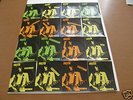 T.REX Poland ENTIRE UNICORN LP of 16 FLEXIES Very RARE
