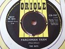 RARE UK 45 - THE RATS - PARCHMAN FARM - N.MINT ORIOLE