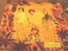 THE SEEDS : EVIL HOODOO  : LP