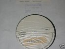 Vasco Rossi / Bollicine - White Label Promo LP