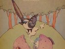 PEKKA POHJOLA - B THE MAGPIE VERY RARE VIRGIN ALBUM M/M