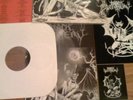 BLACK WITCHERY  DIEHARD LP NWN VON BEHERIT BLASPHEMY