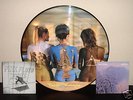 Pink Floyd Rare Beauties Picture Disc, plus extras