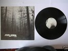 THE CURE - A FOREST 12