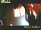 MUSE - Muscle Museum 