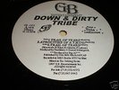 Down N Dirty Tribe-Trail Of Tears RARE RANDOM RAP NJ