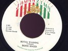 Bionic Singer Botha Warning JA orig 45 Listen