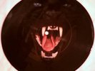 DAVID BOWIE Cat People Picture Disc 45 RPM SUPER RARE