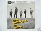 Animals EP - The Animals is here