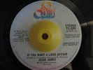 Northern Modern 45 JESSE JAMES If You Want Love Affair